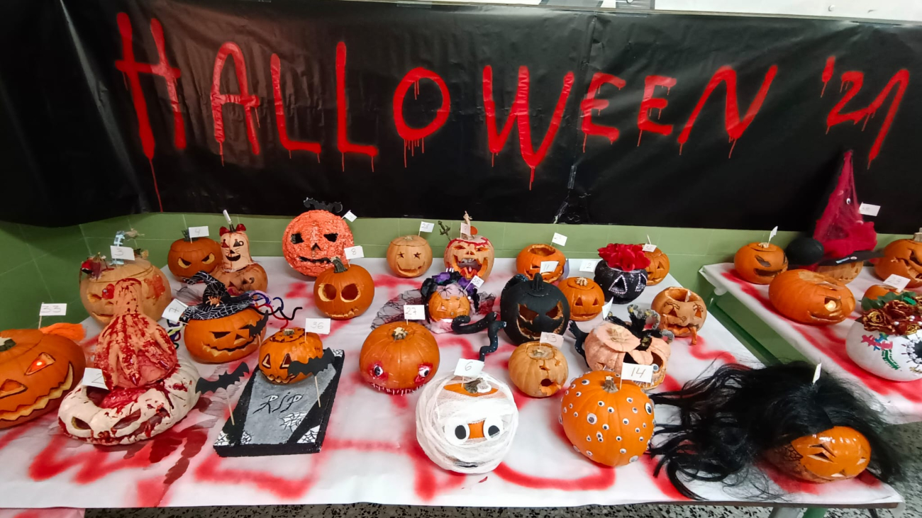 Foto-de-anaortegamiranda