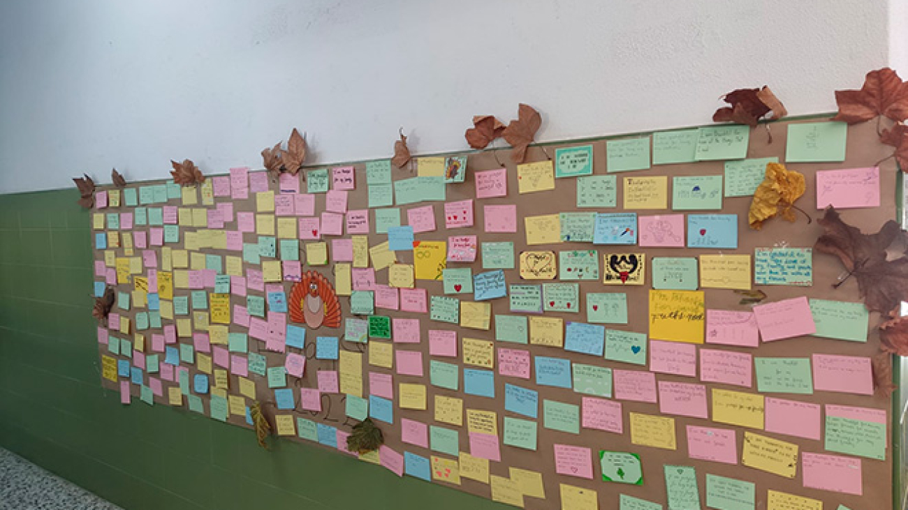 78bae74f-78f8-4d1e-96fd-1d2460bff0c4 (1)