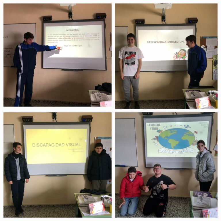 PROYECTO DE DISCAPACIDAD