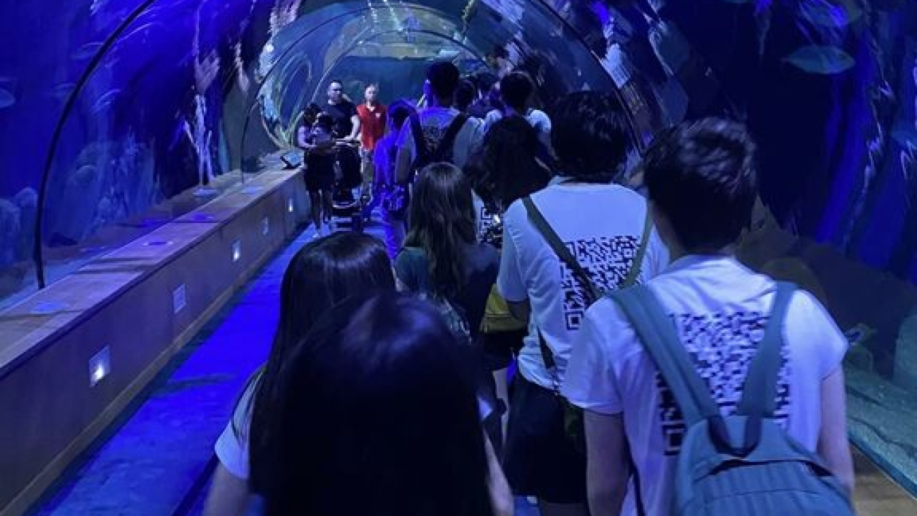 448331411_410610088104818_1460452601466770055_n