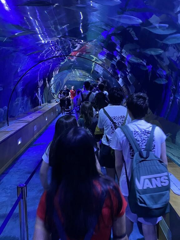 VISITA AL OCEANOGRÁFICO DE VALENCIA