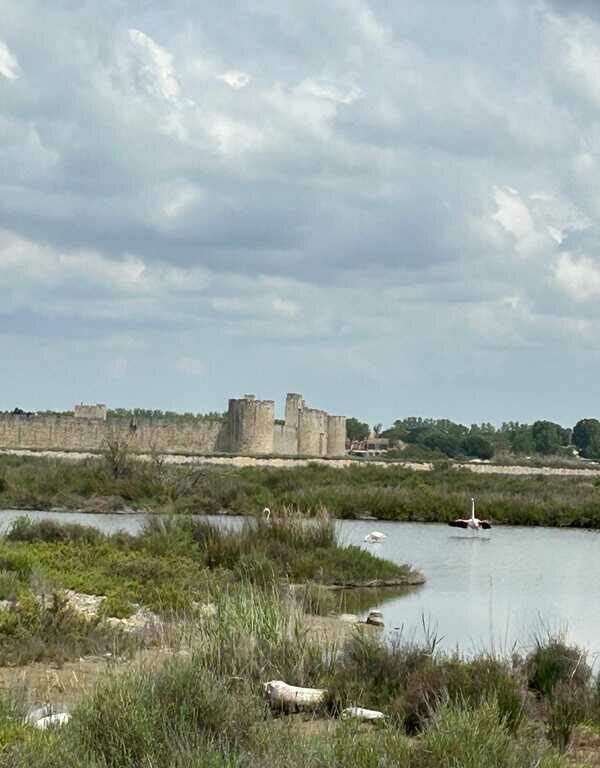 ERASMUS EN ARLÉS