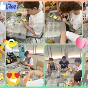 IMG_20230517_114049_458